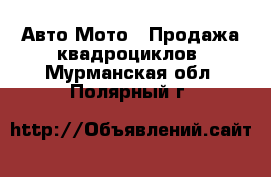 Авто Мото - Продажа квадроциклов. Мурманская обл.,Полярный г.